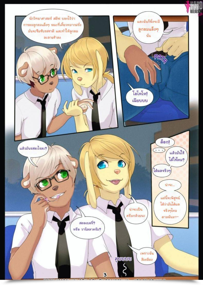 003.jpg