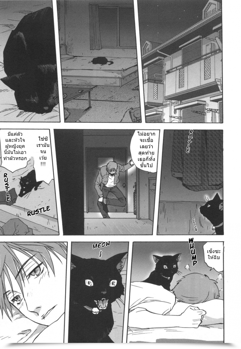 Doujin Mitarashi Kousei Black Cat Crossing โดจินแปลไทย 39