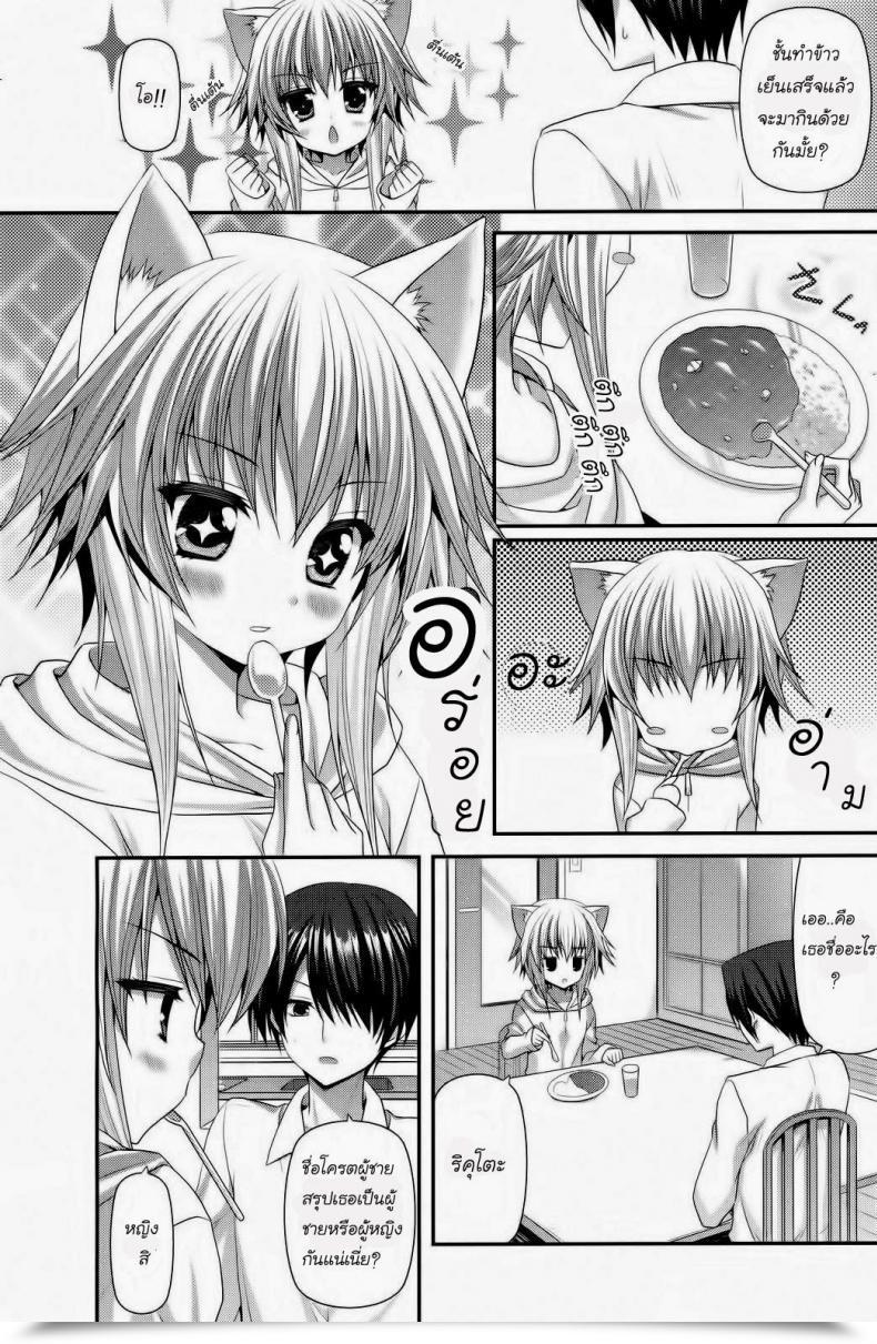 Doujin Suigetsu Arumi Lonely Cat Comedian Potpourri Membership 12-2012 โดจินแปลไทย 5