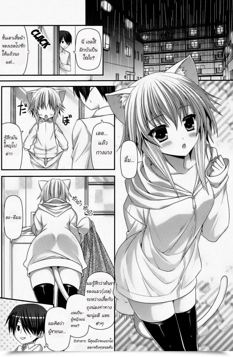 Doujin Suigetsu Arumi Lonely Cat Comedian Potpourri Membership 12-2012 โดจินแปลไทย 3