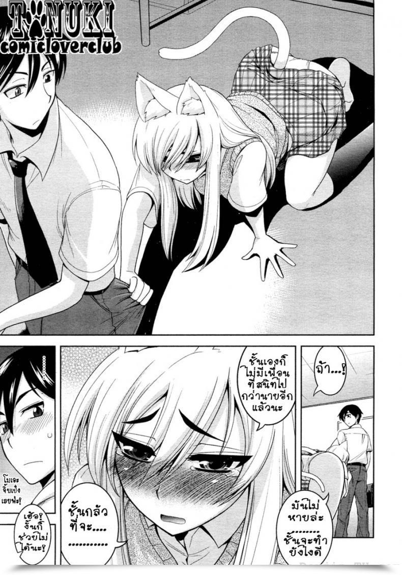 Doujin Yamata Shouji Tabekko Doubutsu Neko Hen Animal Crackers, Cat Model โดจินแปลไทย 13