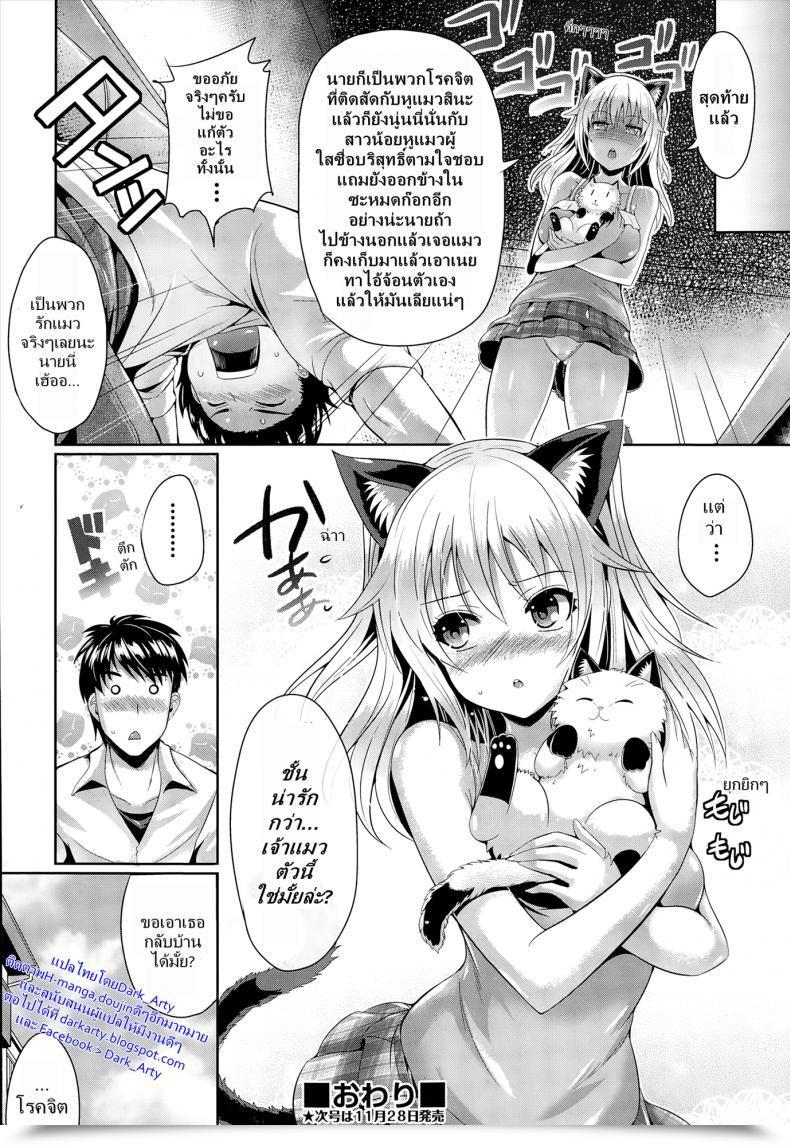 Doujin Nekoi Hikaru Neko.Kawaii Desyo Comedian Aun 2014-12 โดจินแปลไทย 43