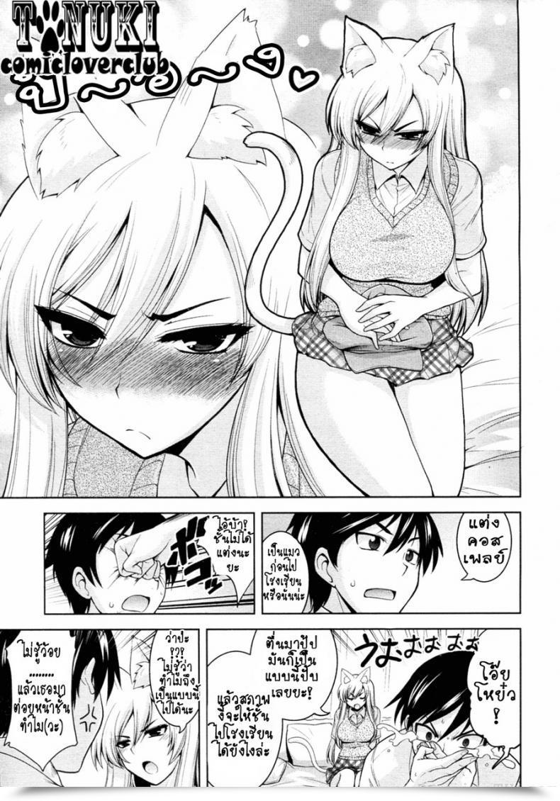 Doujin Yamata Shouji Tabekko Doubutsu Neko Hen Animal Crackers, Cat Model โดจินแปลไทย 9