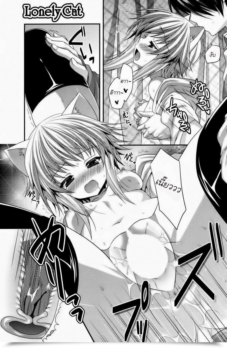 Doujin Suigetsu Arumi Lonely Cat Comedian Potpourri Membership 12-2012 โดจินแปลไทย 25