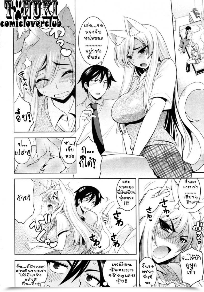 Doujin Yamata Shouji Tabekko Doubutsu Neko Hen Animal Crackers, Cat Model โดจินแปลไทย 15