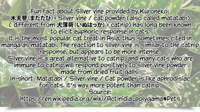 Doujin Suzuhane Suzu Boy Meets Nyaa God | Boy Meets Cat Goddess Comedian Exe 04 โดจินแปลไทย 73