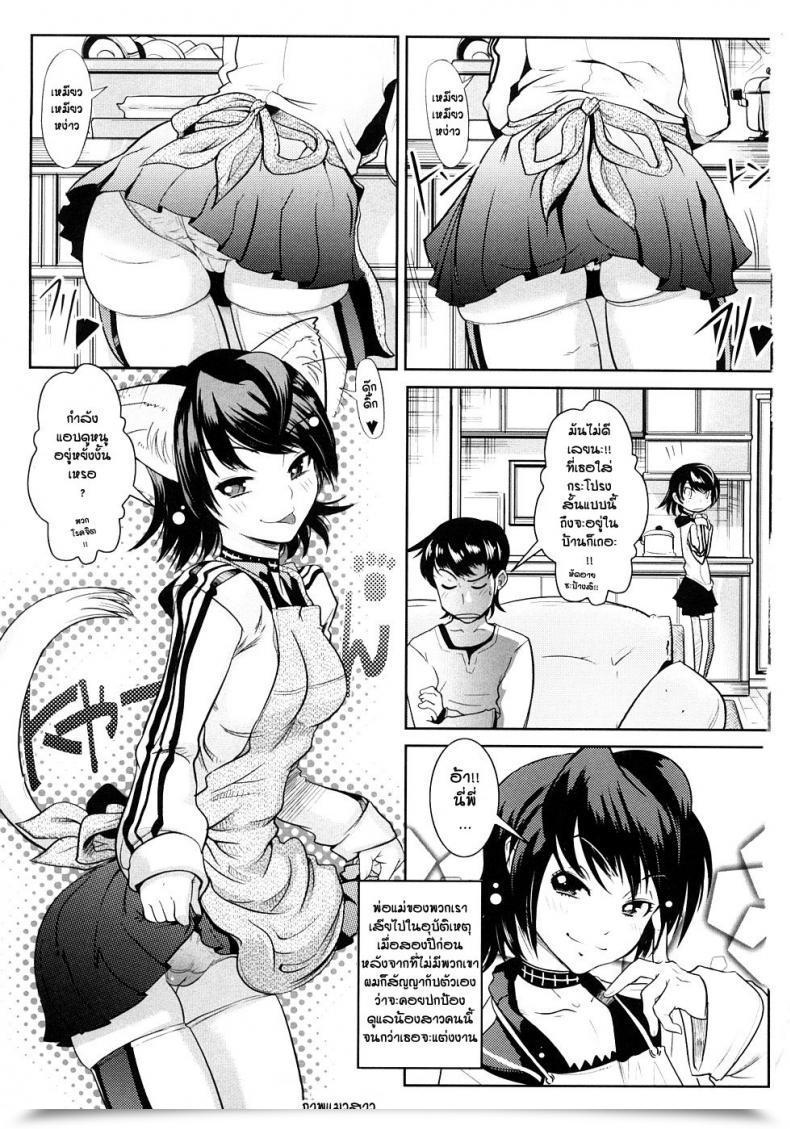 Doujin Kemonono Groove Tube โดจินแปลไทย 3