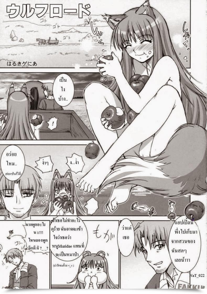 Doujin Fakku Wolf And Spice - Wolf Highway โดจินแปลไทย 3