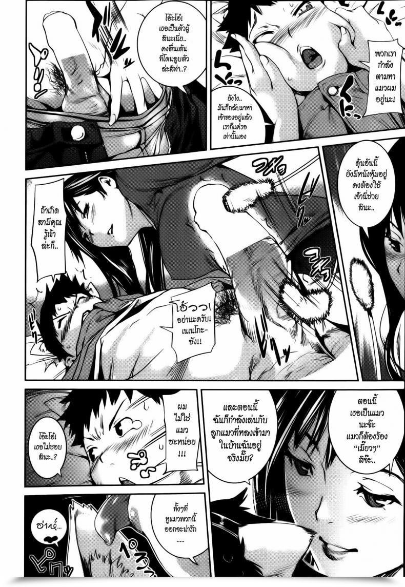 Doujin Shiomaneki I Really Like The Cat Subsequent Door โดจินแปลไทย 11