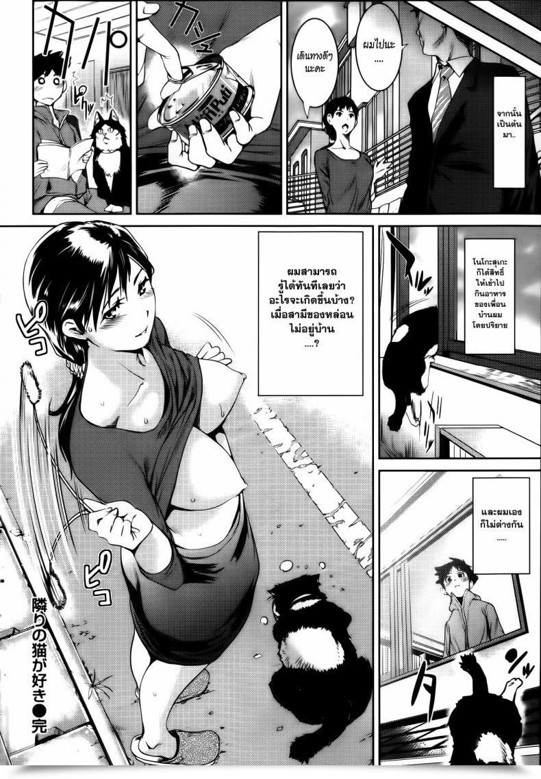 Doujin Shiomaneki I Really Like The Cat Subsequent Door โดจินแปลไทย 35