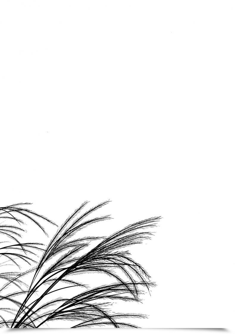 Doujin Yukino Minato Hikari No Kimi No Saganaki Keikaku | Lord Hikaru'S Crafty Plan Noraneko-No-Tama โดจินแปลไทย 41