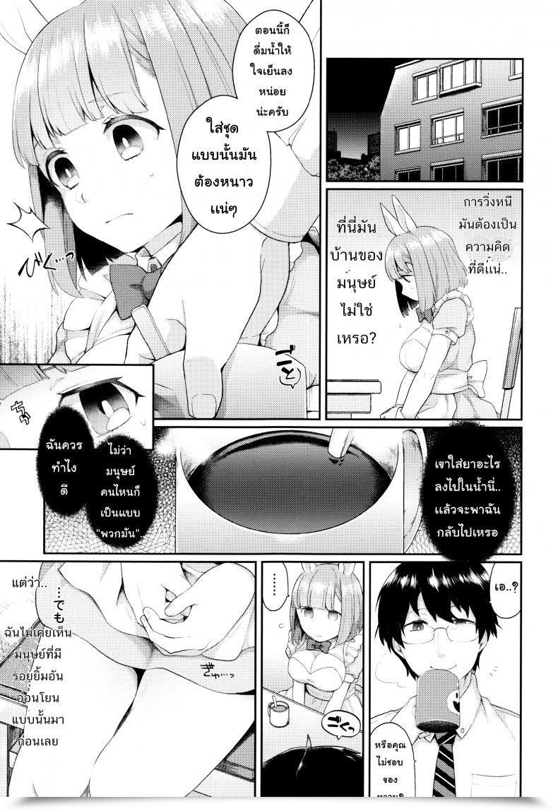 Doujin Majoccoid Rabbit Gap โดจินแปลไทย 9