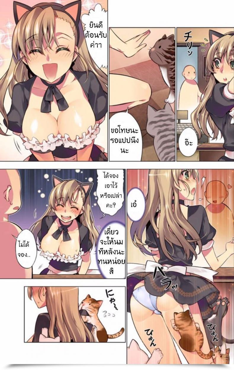 Doujin Hb Oh! Komarino!! 4 โดจินแปลไทย 5
