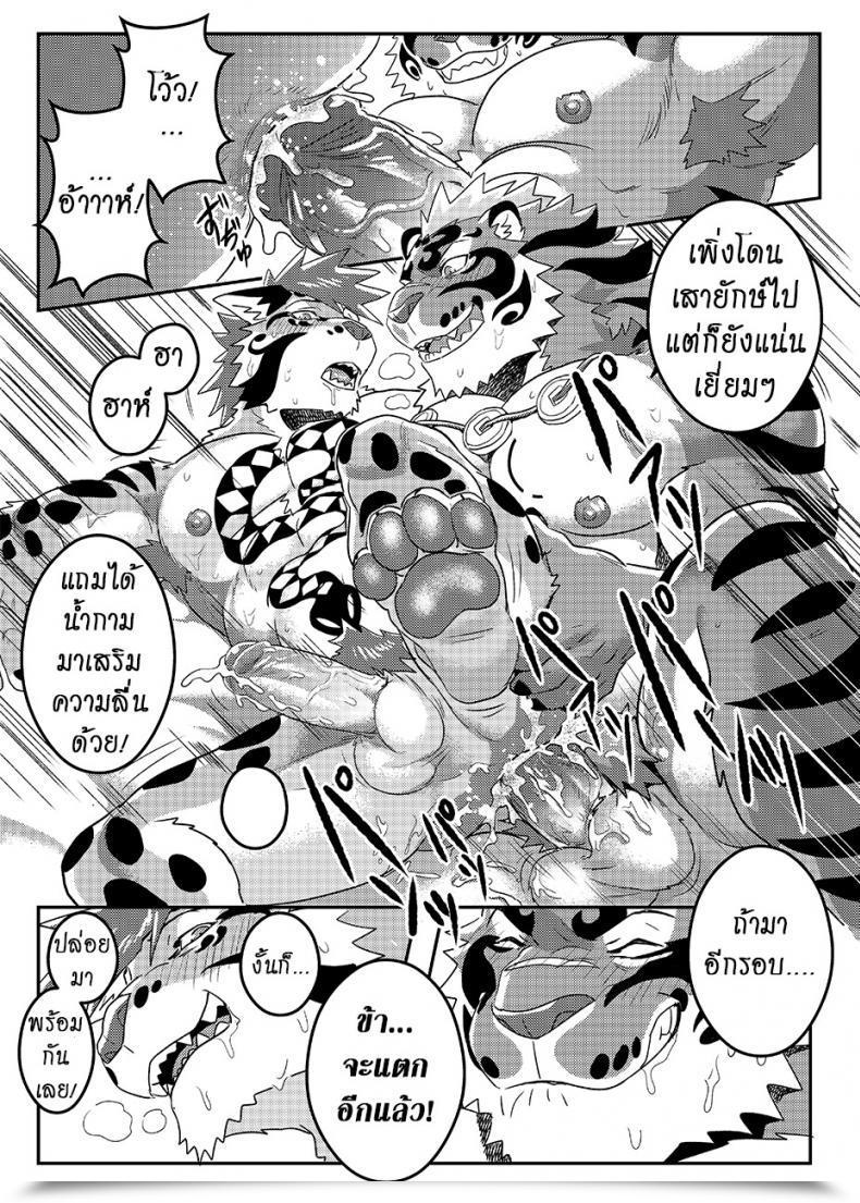 Doujin Wild Fashion Ross Nekojishi Further โดจินแปลไทย 39