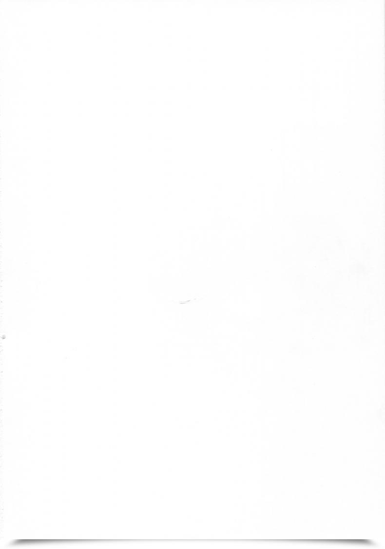Doujin Area14 Kasei Burning Love Sisters โดจินแปลไทย 69