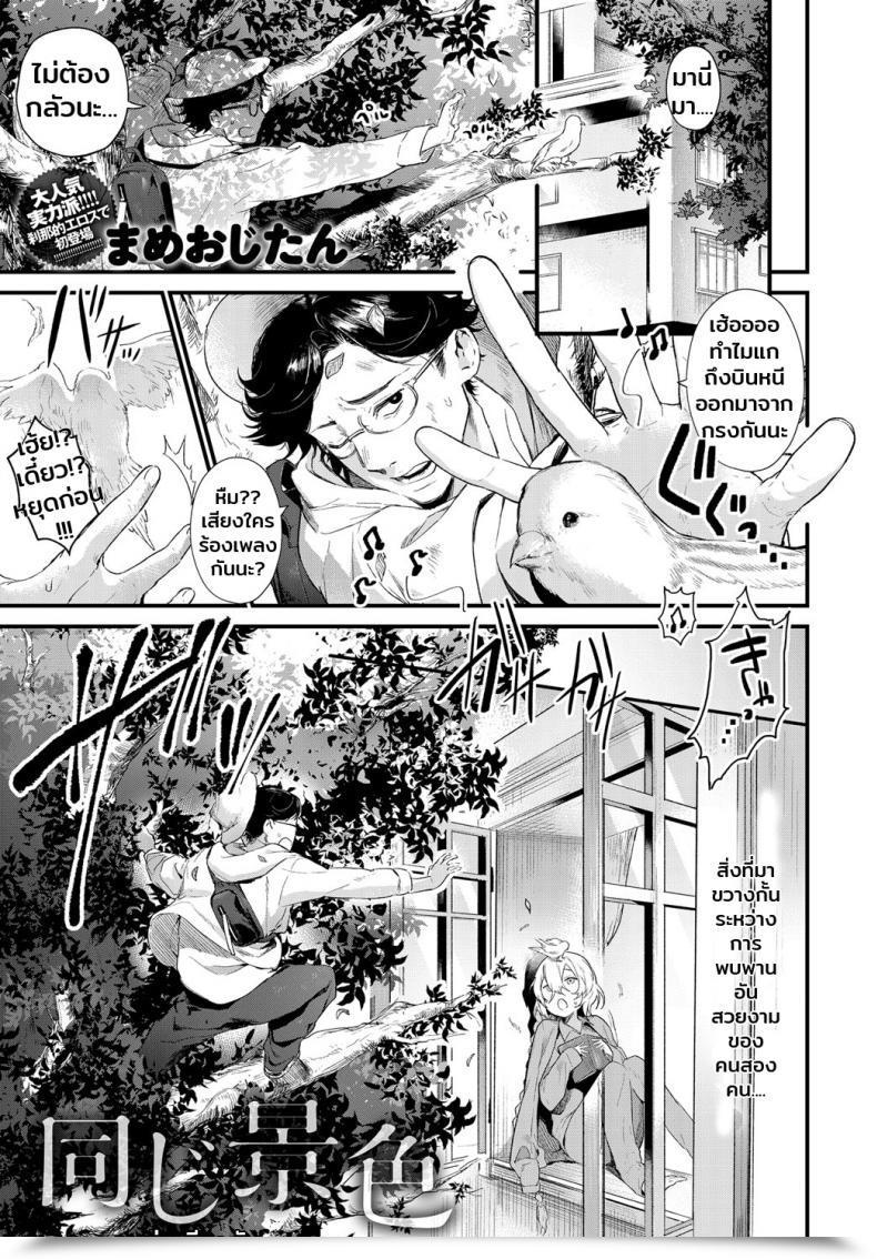 Doujin Mameojitan Onaji Keshiki Comedian Anthurium 2018-12 โดจินแปลไทย 45