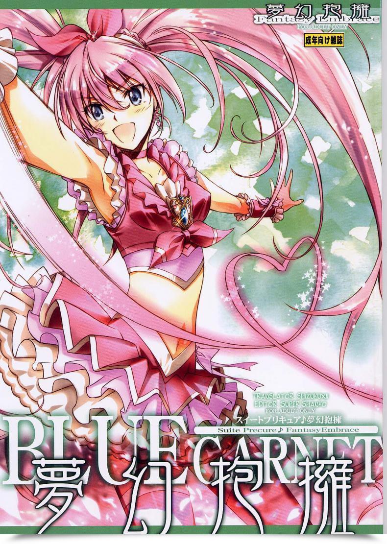 Doujin Blue Garnet Serizawa Katsumi Mugen Houyou | Fantasy Embrace Suite Precure♪ โดจินแปลไทย 1