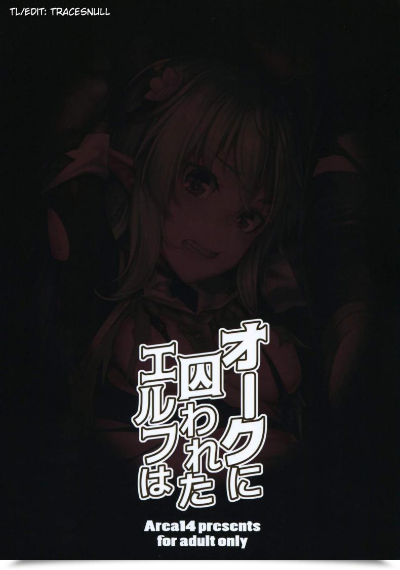 Doujin Comic1☆13 Area14 Kasei Orc Ni Torawareta Elf Wa โดจินแปลไทย 3