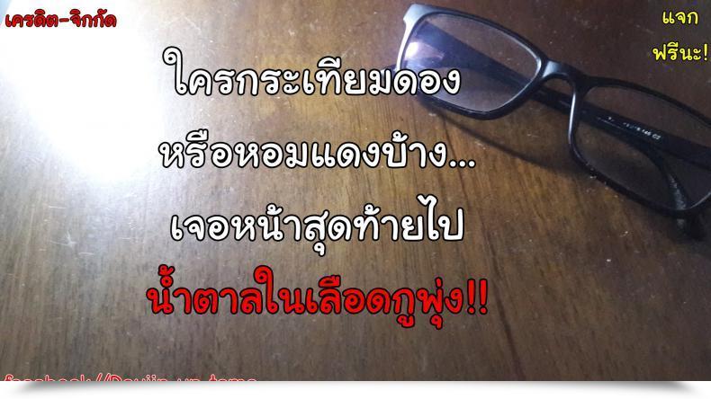 Doujin Otono Natsu Great Days ~17-Nin No Shojo To Inu~ Ch.1 - Claiming The Center'S Deside โดจินแปลไทย 47