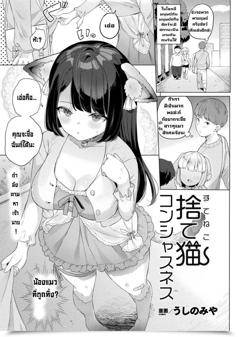 Doujin Ushinomiya Suteneko Konshasunesu โดจินแปลไทย 43