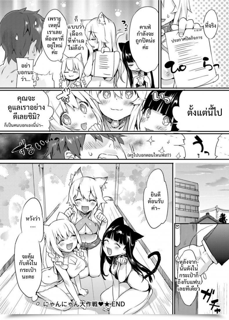 Doujin Tikisou Takeda Nyan Nyan Dai Sakusen | Nyan Nyan Operation โดจินแปลไทย 39