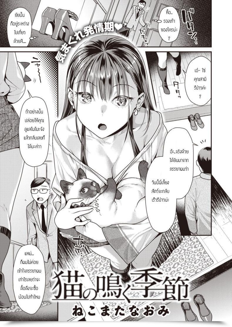 Doujin Nekomata Naomi Neko No Naku Kisetsu โดจินแปลไทย 65
