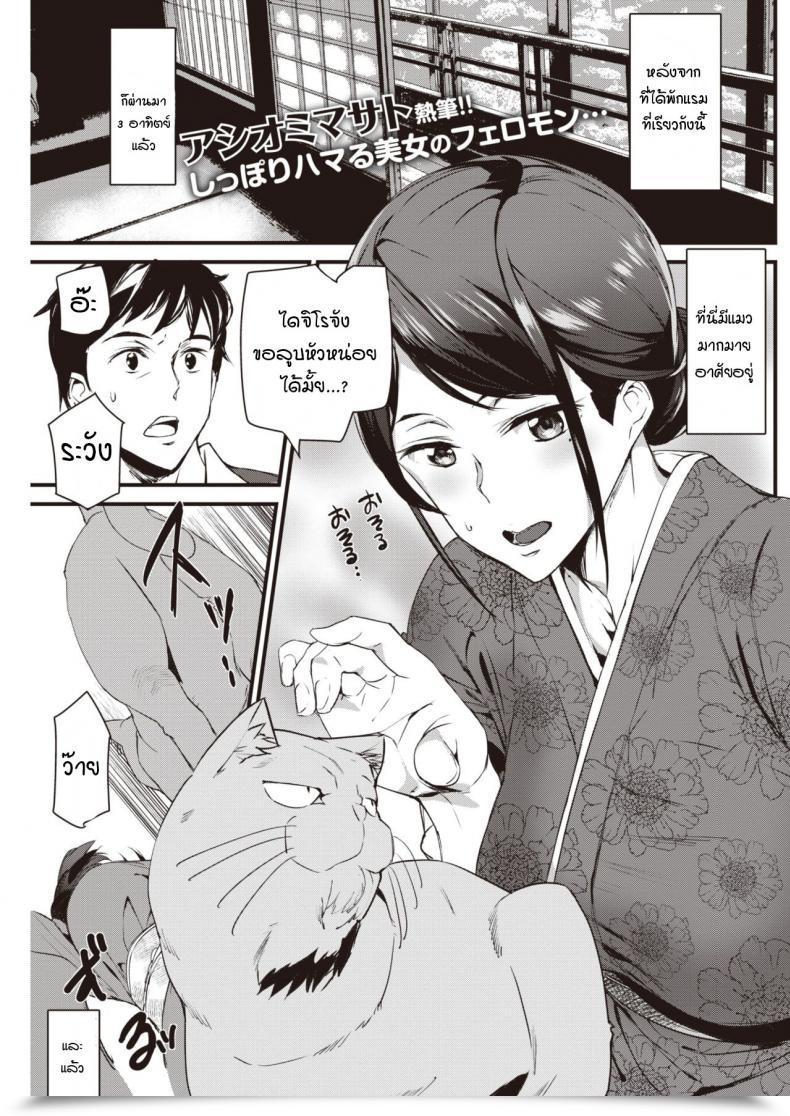 Doujin Ashiomi Masato Nekoonsen No Wakaokami โดจินแปลไทย 55