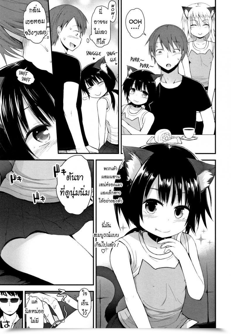 Doujin Fujisaka Lyric Neko Cafe De Asobou Cat Cafe Playhouse โดจินแปลไทย 5