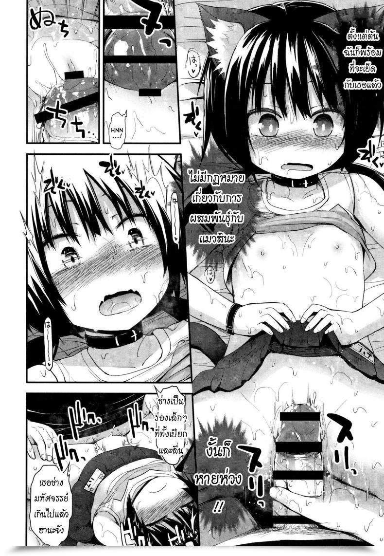 Doujin Fujisaka Lyric Neko Cafe De Asobou Cat Cafe Playhouse โดจินแปลไทย 19