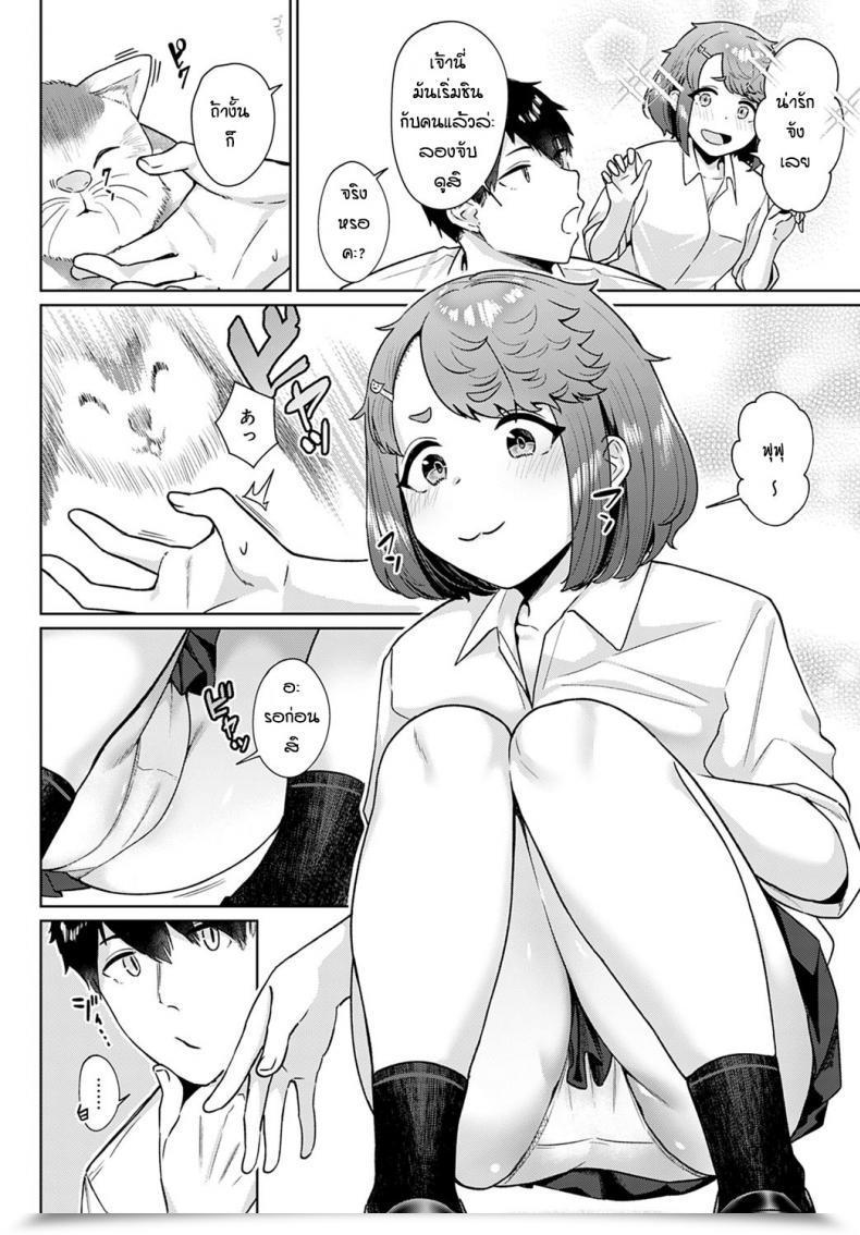 Doujin Nakao Ham Neko No Chiamayadori โดจินแปลไทย 3