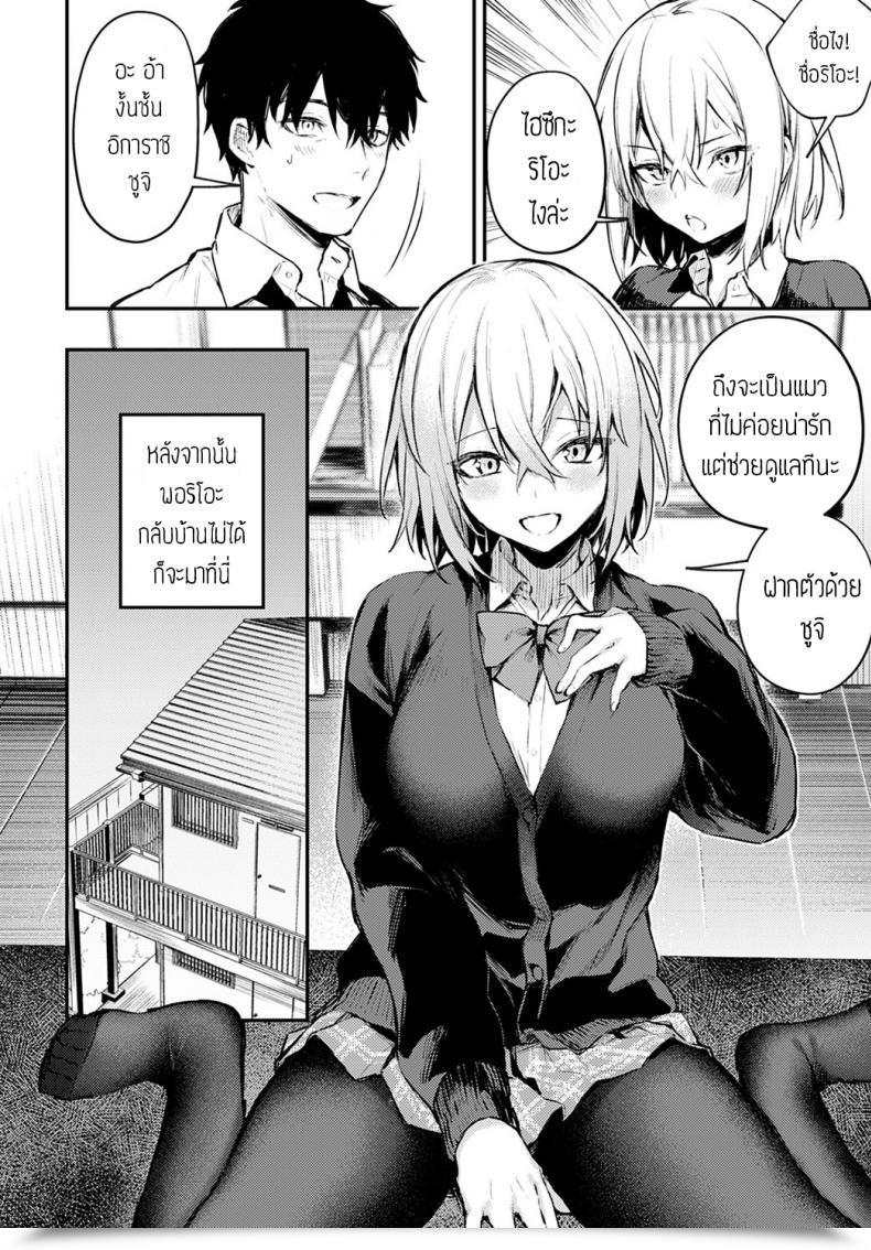 Doujin Danimaru Sute-Neko Kanojo โดจินแปลไทย 15