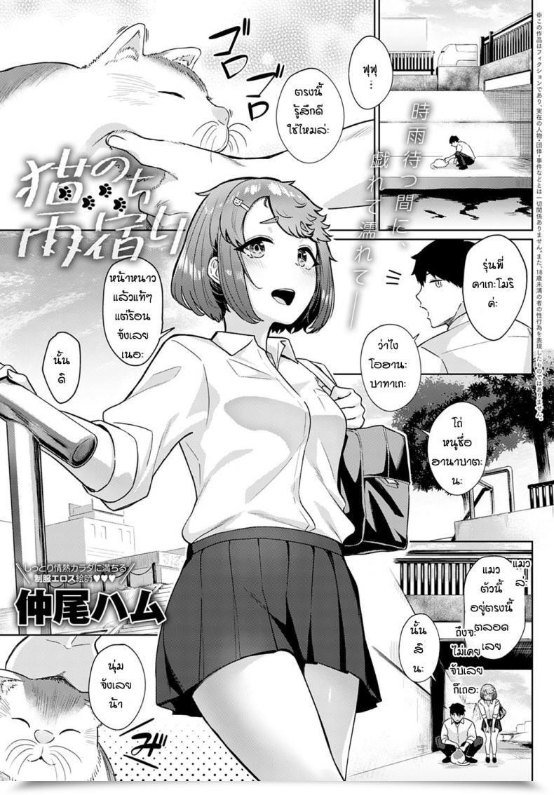 Doujin Nakao Ham Neko No Chiamayadori โดจินแปลไทย 37