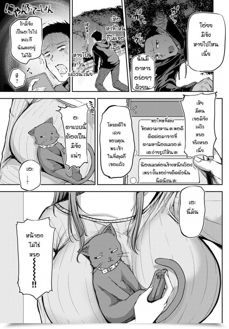 Doujin Miyoshi Nyanptation โดจินแปลไทย 19
