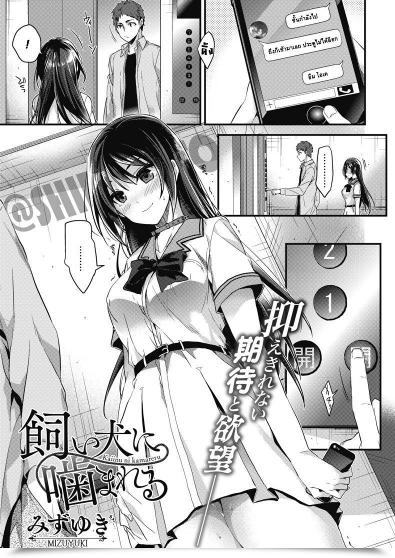 Doujin Mizuyuki Kaiinu Ni Kamareru Comedian Hotmilk 2017-09 โดจินแปลไทย 71