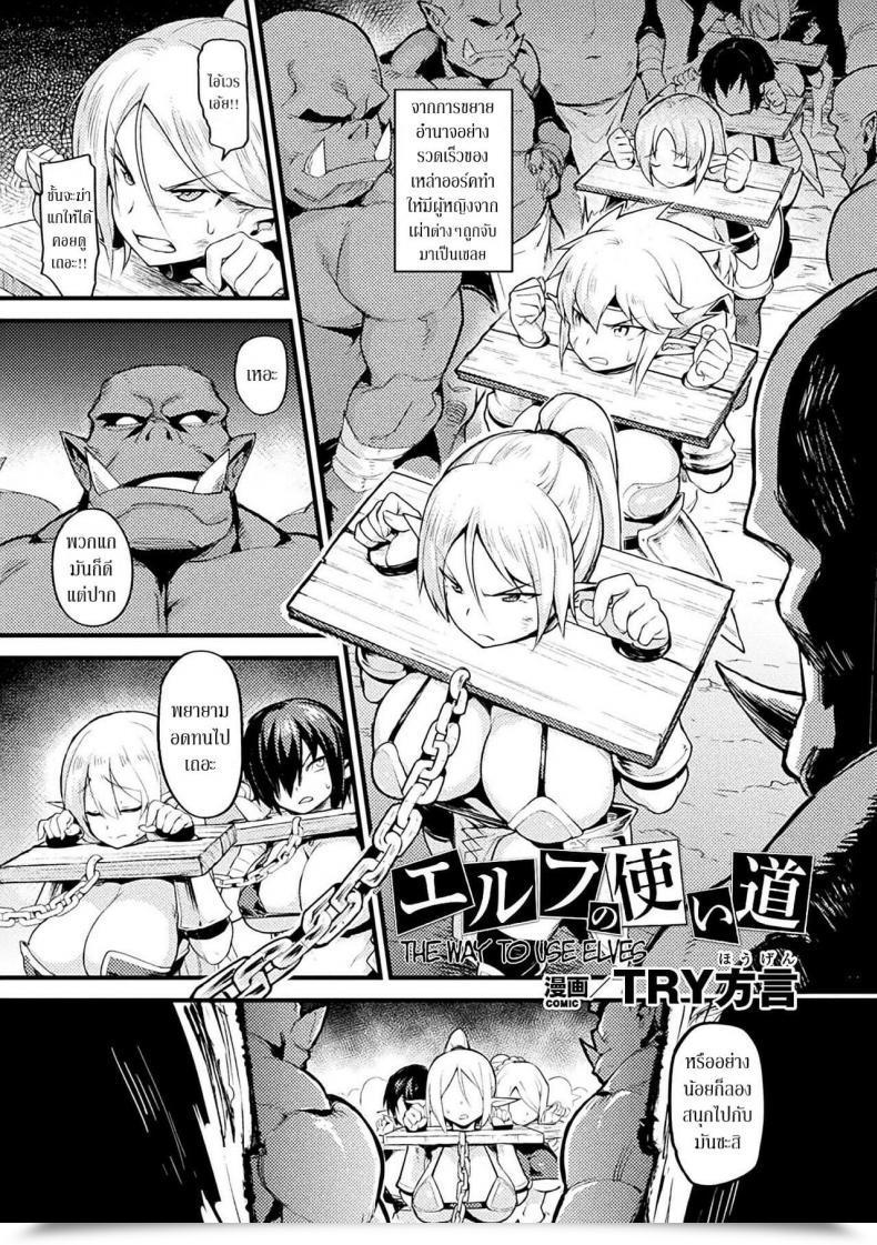 Doujin Attempt Hougen Elf No Tsukaimichi โดจินแปลไทย 65