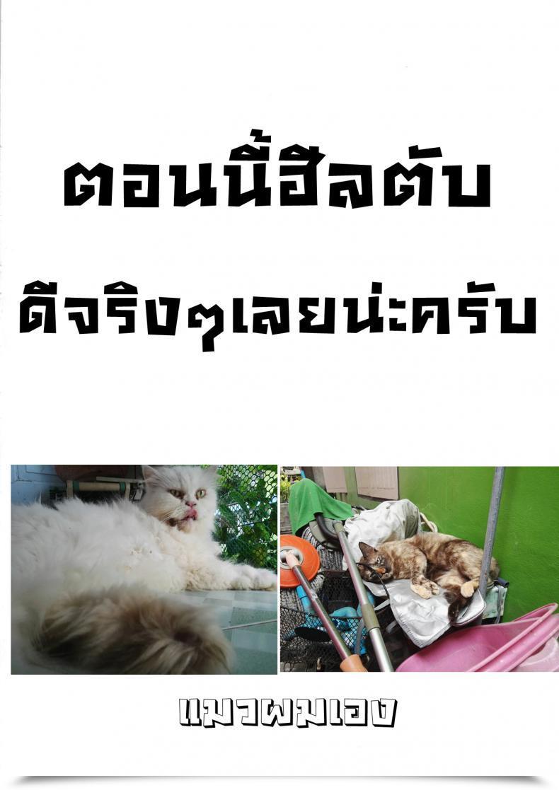 Doujin Mochi Touki Ryoujoku | The Rape Of A Warrior Oni Ch.2 Onibana Muzan โดจินแปลไทย 41