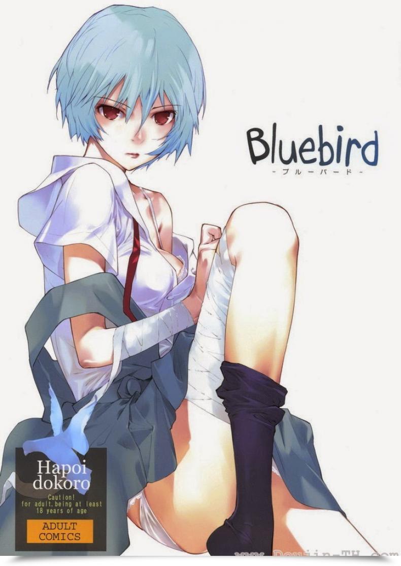 Doujin C77 Hapoi-Dokoro Okazaki Takeshi Bluebird Neon Genesis Evangelion โดจินแปลไทย 51