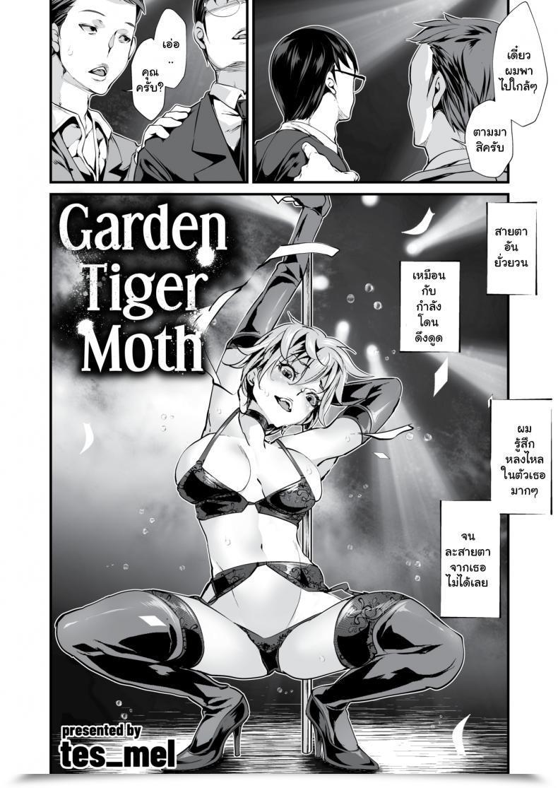Doujin Tes Mel Backyard Tiger Moth โดจินแปลไทย 3