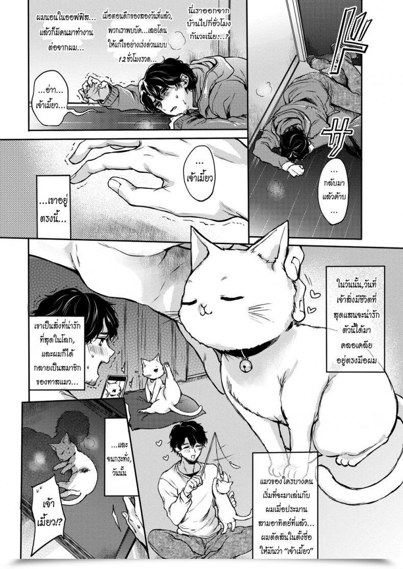 Doujin Hinahara Emi Kitty Petting Love โดจินแปลไทย 3