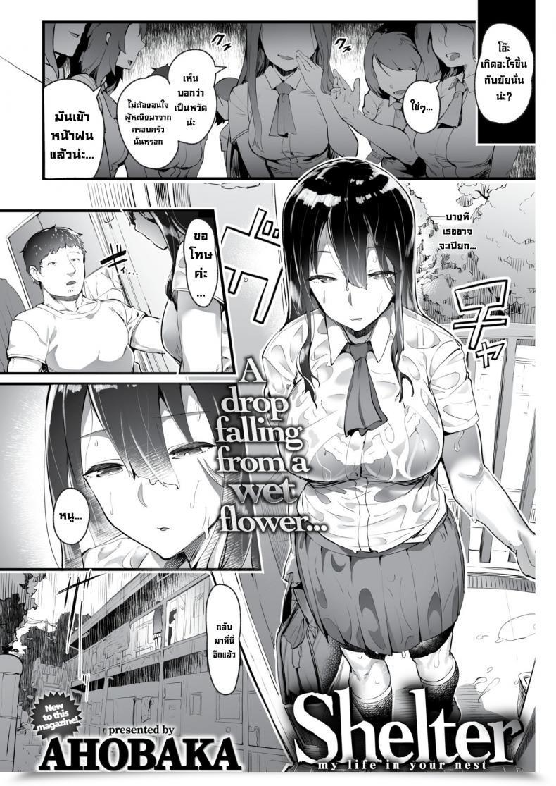 Doujin Ahobaka Shelter โดจินแปลไทย 61